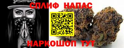 мдпв Донской