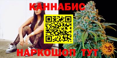 мдпв Донской
