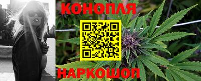 мдпв Донской