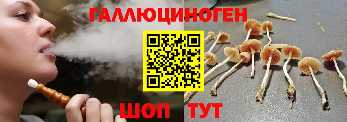 Галлюциногенные грибы Magic Shrooms  Вход с VPN  Миасс  Галлюциногенные грибы GOLDEN TEACHER 